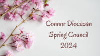 Spring Council 2024 – Update